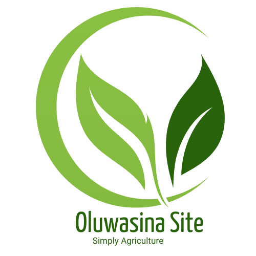 oluwasina site